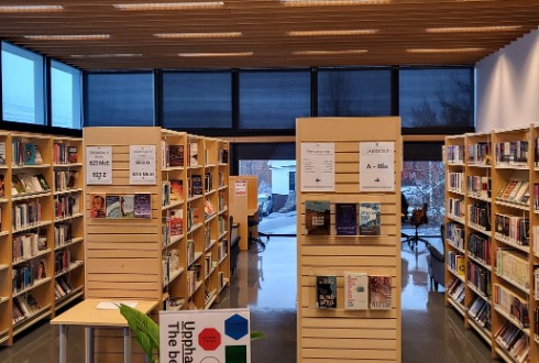 Picture from the 2nd floor of the Municipal library, reading booths behind shelves