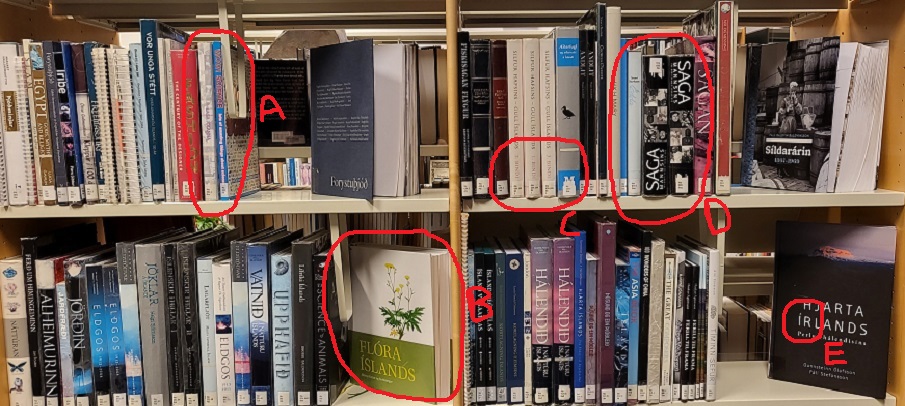 Picture of books on shelves with red rings drawn on it to show errors from previous picture